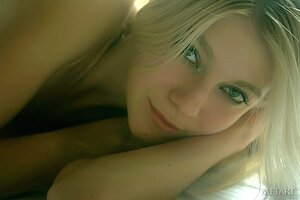 Bayle A